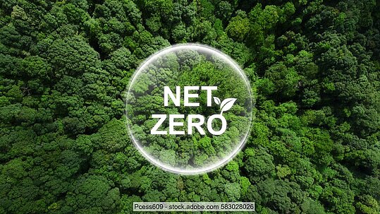"Net Zero" text in white in a bubble against a background of forrest trees