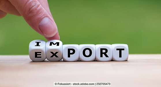 Dices with letters on them in a row, forming the word import/export.