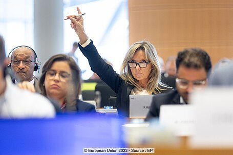 Belgian MEP Frédérique Ries at the ENVI Committee meeting on 24 October 2023
