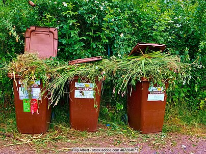 Three brown bio-waste bins in front of a hedge. They are labelled in Czech and filled so high with grass clippings that the lids no longer close.