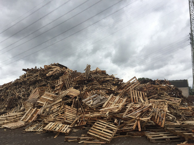Waste wood sector well supplied ahead of winter