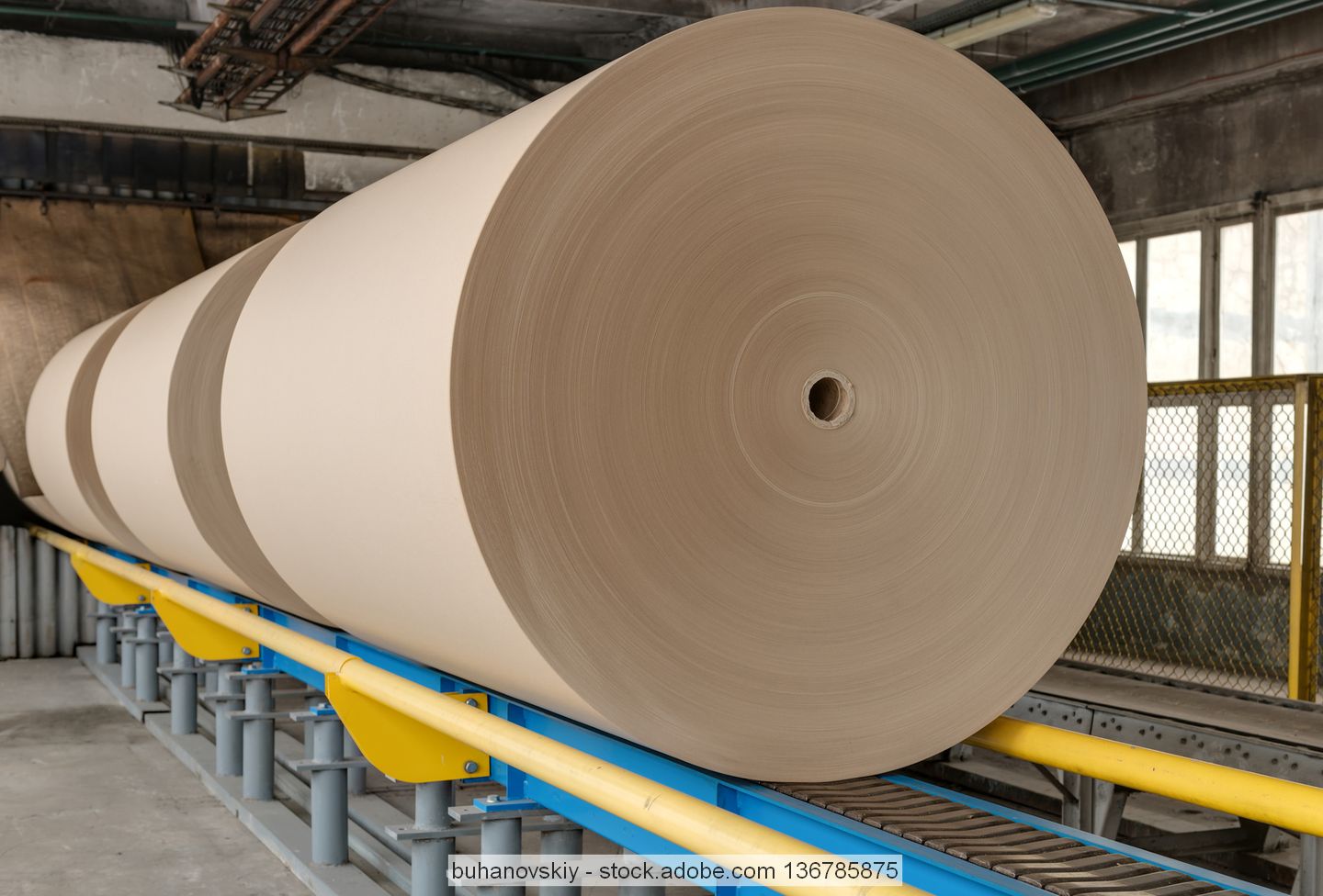 Reels of new packaging paper on a conveyor.
