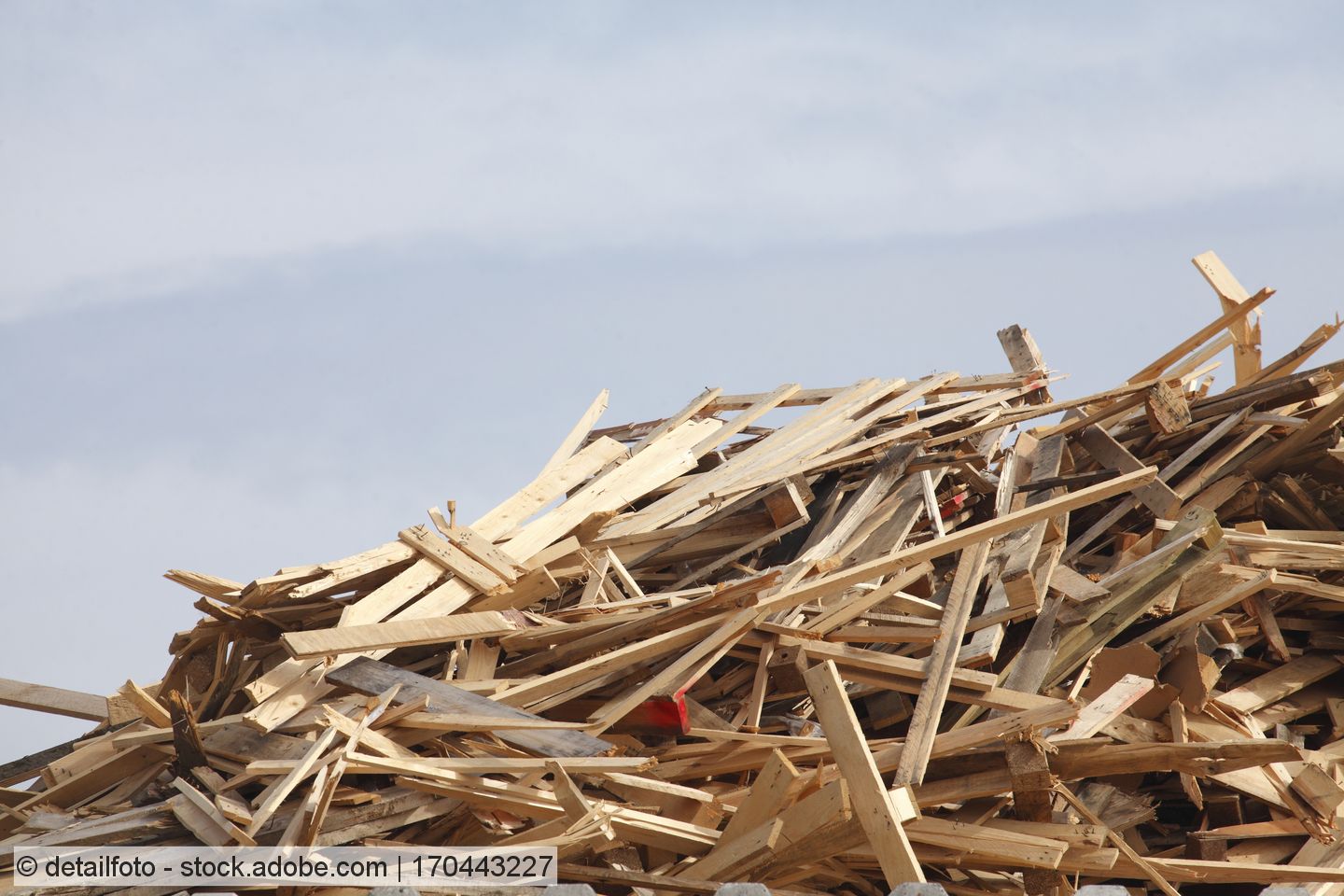 Unprocessed waste wood stored in a pile. 