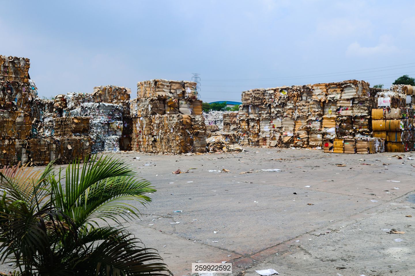 Stacked bales of recovered paper in storage yard