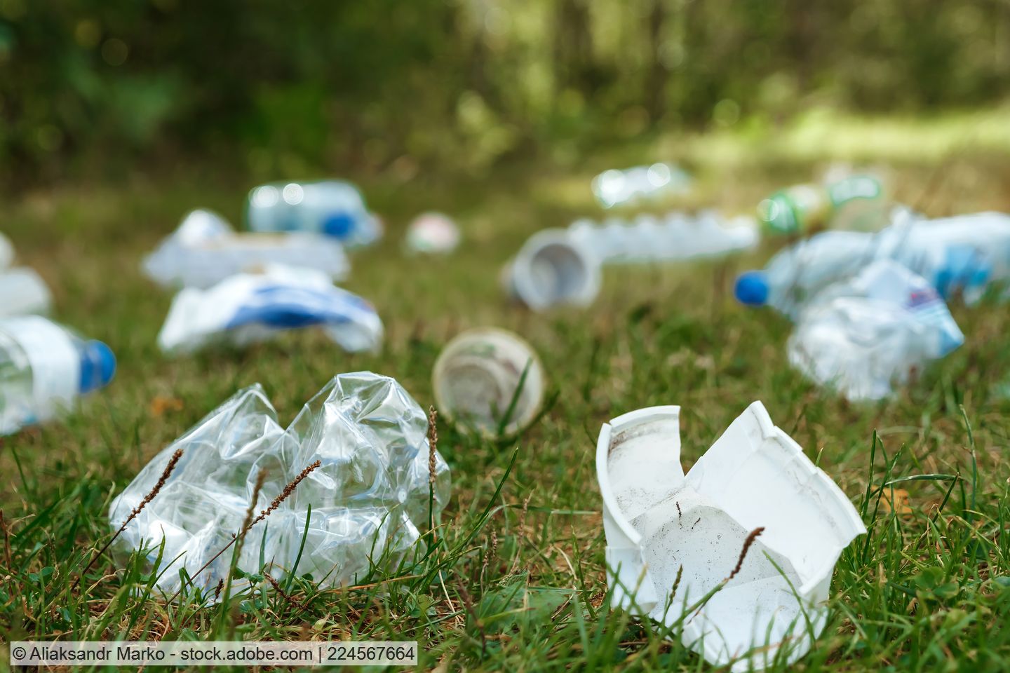 Crushed single-use plastic cups and bottles littered in a park.